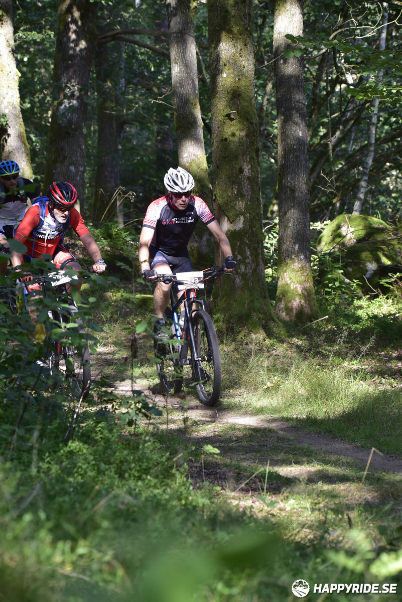 Bild från Bockstensturen 2019